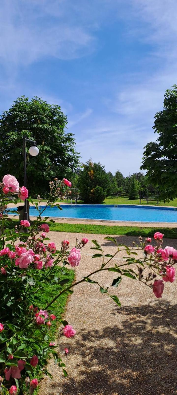 Lighthouse Golf Apart Complex&Villas Balchik Luaran gambar